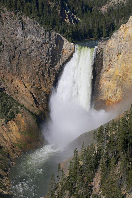 Lower Falls, Grand Canyon of the Yellowstone