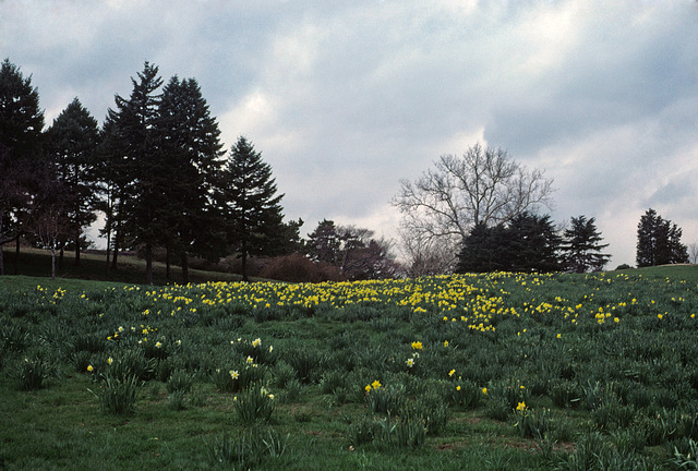 Bronx Botanical Gardens, New York City