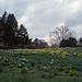 Bronx Botanical Gardens, New York City