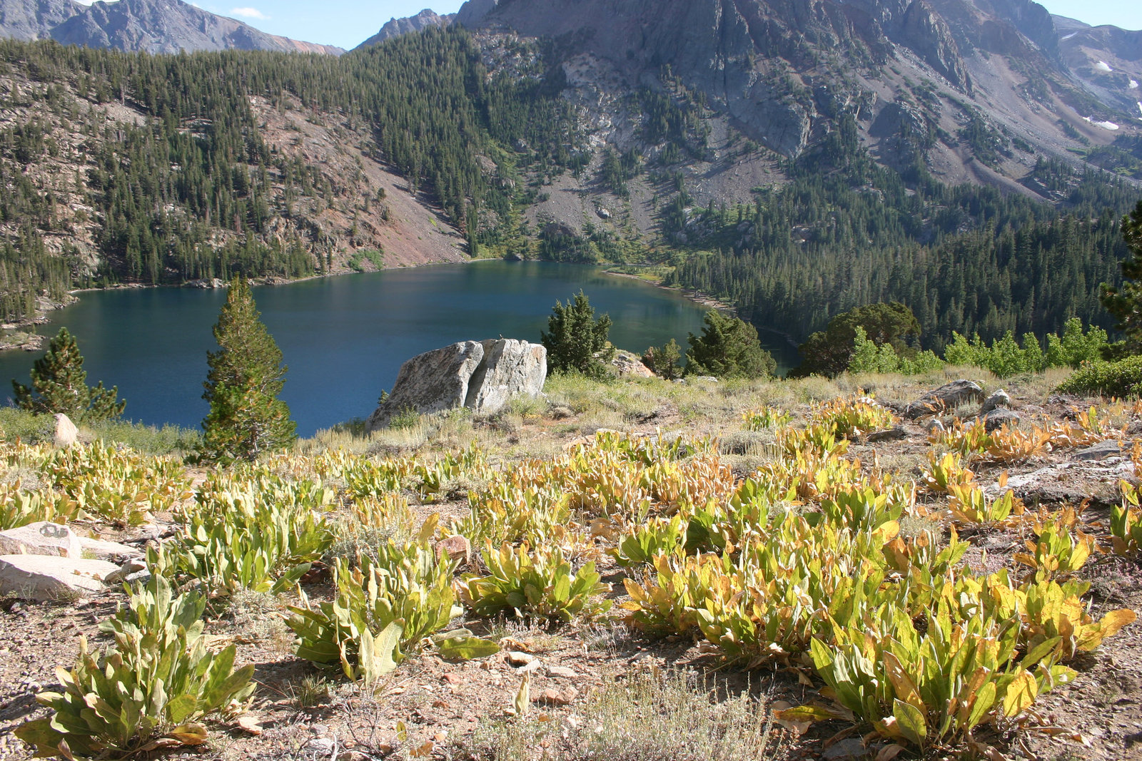 Green Lake