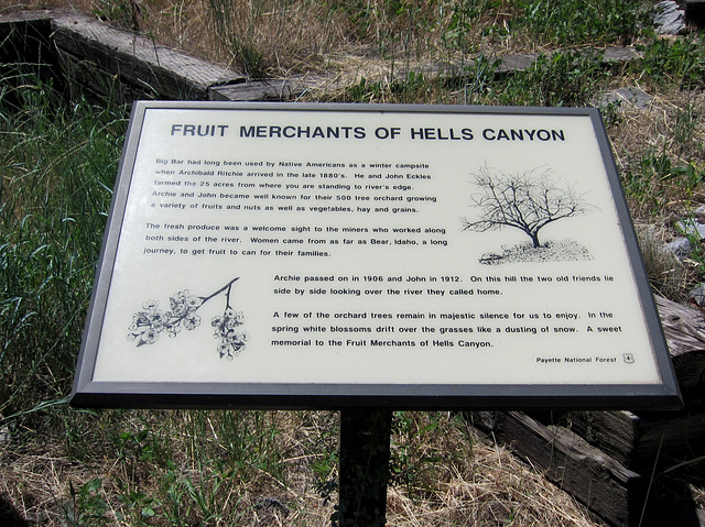Hells Canyon, OR 0808a