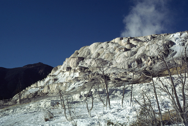 Mammoth Hot Springs, Yellowstone National Park