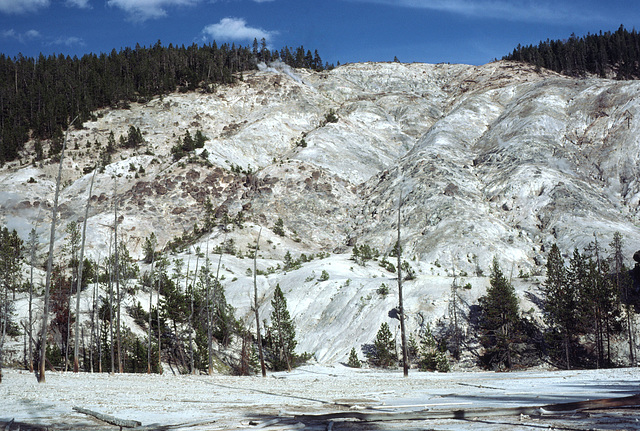 Roaring Mountain, Yellowstone National Park