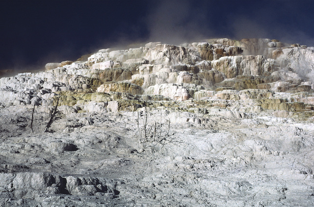 Mammoth Hot Springs, Yellowstone National Park