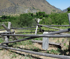 Hells Canyon, OR 0809a