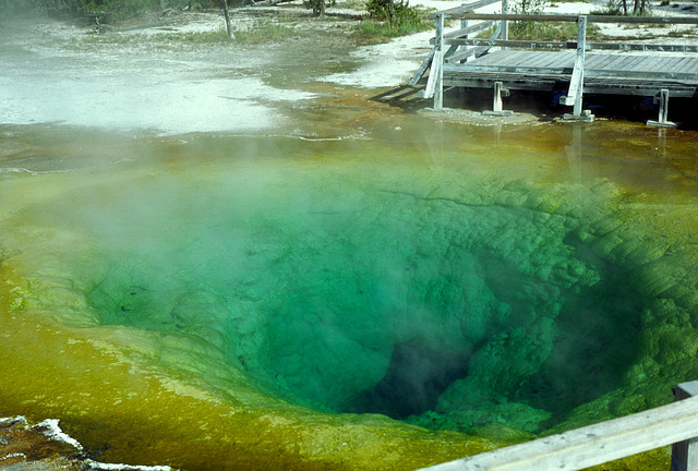 Morning Glory Pool, Upper Geyser Basin, Yellowstone National Park