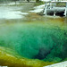 Morning Glory Pool, Upper Geyser Basin, Yellowstone National Park