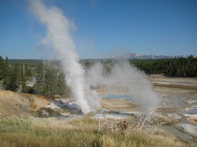 Norris Geyser Basin, Yellowstone National Park