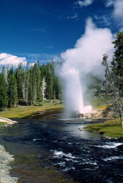 Riverside Geyser, Upper Geyser Basin, Yellowstone National Park