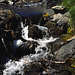 Cascade Pass Near Pelton Basin