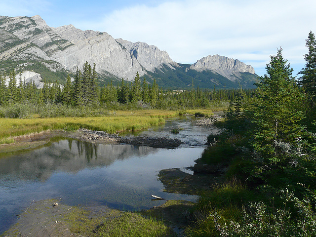 Many Springs and Mt. Yamnuska