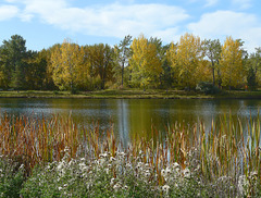 A sunny fall day