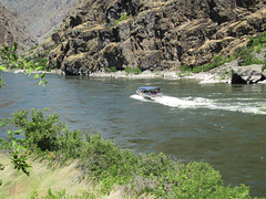 Hells Canyon, OR 0815a