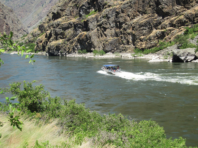 Hells Canyon, OR 0815a