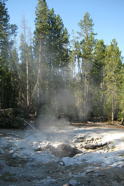 Norris Geyser Basin, Yellowstone National Park