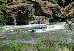 Hells Canyon, OR 0813a