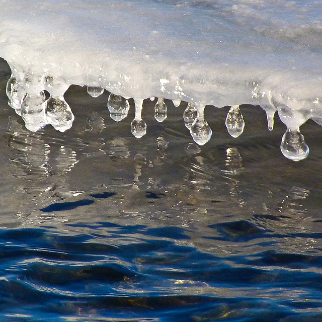 Icicles near the river's edge