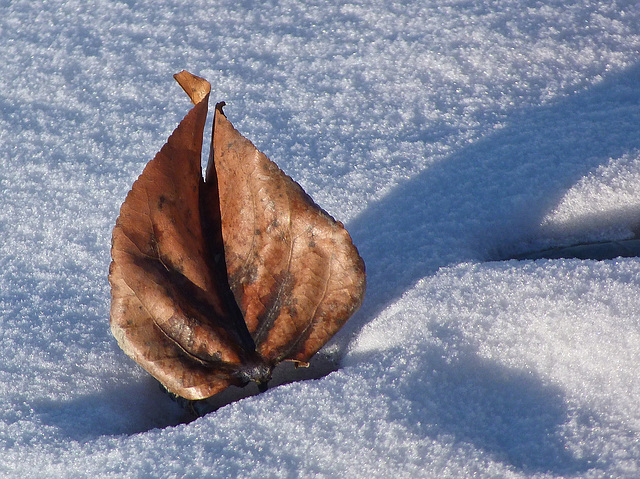 A mix of seasons