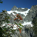 Mount Shuksan