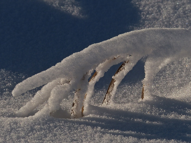 The icy fingers of winter