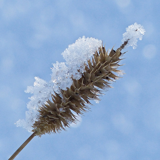 The two sides of life - the gentle and the harsh