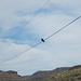 Lake Owyhee, OR 0759a