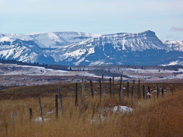 I love Alberta