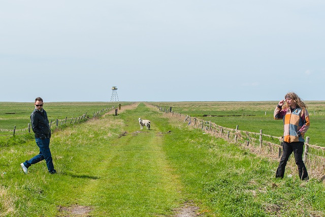 Auf die anderen warten - 20130524