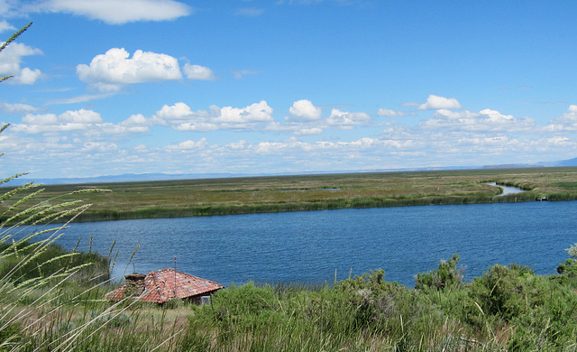 Malheur NWR, OR 0990a