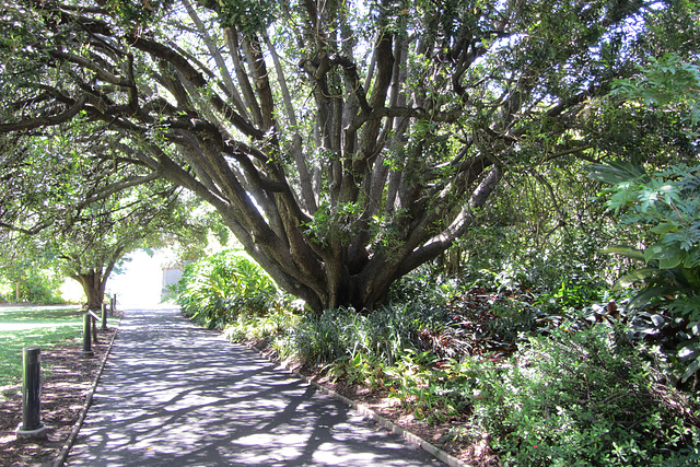 Sydney, 11 Jan 2012