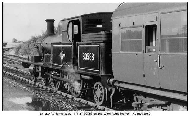 Ex LSWR Adams Radial 4-4-2T 30583 on the Lyme Regis branch August 1960