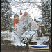 canalside gardens in the snow