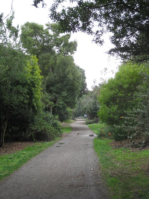 SF Golden Gate Park cruising area 3440a