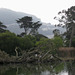 SF Golden Gate Park Stow Lake 3429a