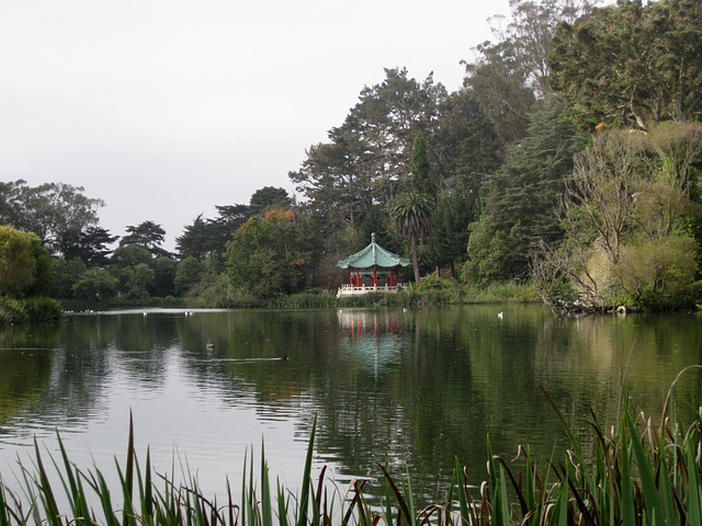 SF Golden Gate Park Stow Lake 3430a