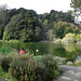 SF Golden Gate Park Stow Lake 3436a