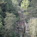 SF Golden Gate Park Stow Lake 3437a