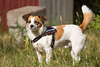 20130723-DSC01051