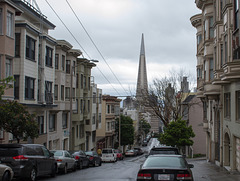 SF Nob Hill / Transamerica Tower (0171)