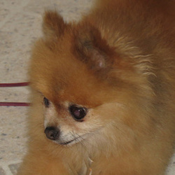 Celeste 7/16/13 Celeste 7/16/13