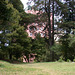 SF Pacific Heights Lafayette Park 3435a