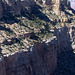 Grand Canyon - Panorama