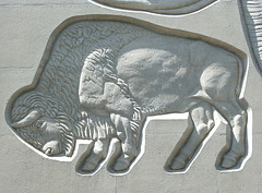 Buffalo Relief on Building at USC, July 2008