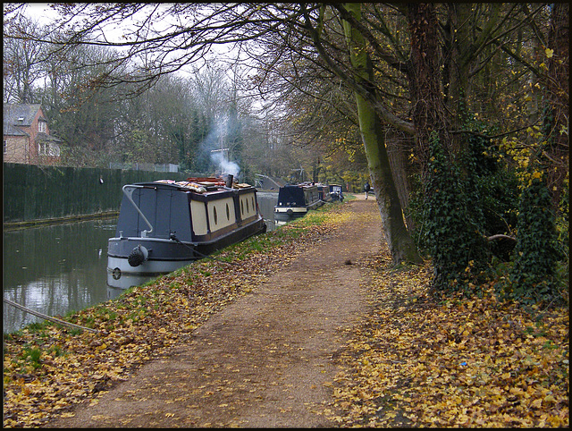 towpath in November