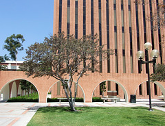 Von KleinSmid Center at USC, July 2008