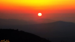 DSCF2706