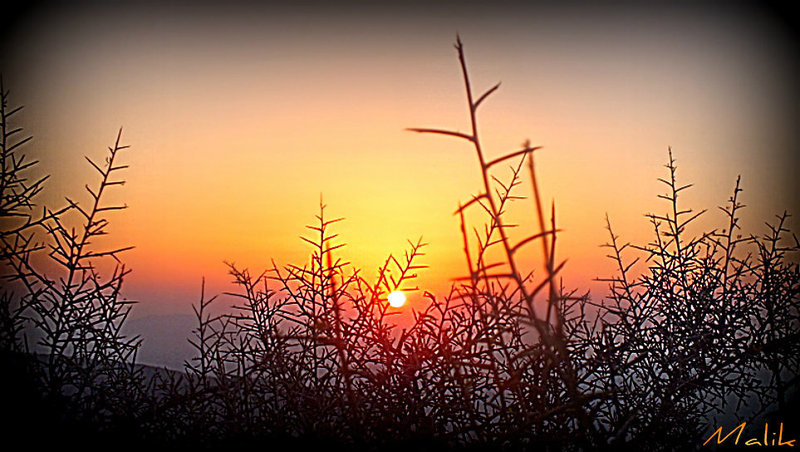 DSCF2684