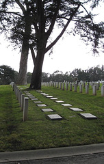 SF Presidio National Cemetery 529a