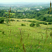 Looking through the waving grasses