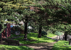 SF waterfront Islais Creek Tulare Park (0201)